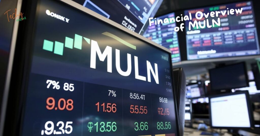 Financial Overview of MULN